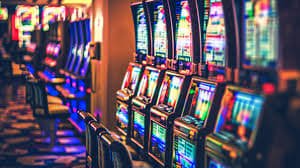 kaki33